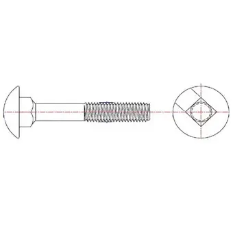 1/4" x 5" Zinc Plated Carriage Bolt